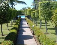 Garden of the Hotel EL COLIBRI - Sosua - Dominican Republic